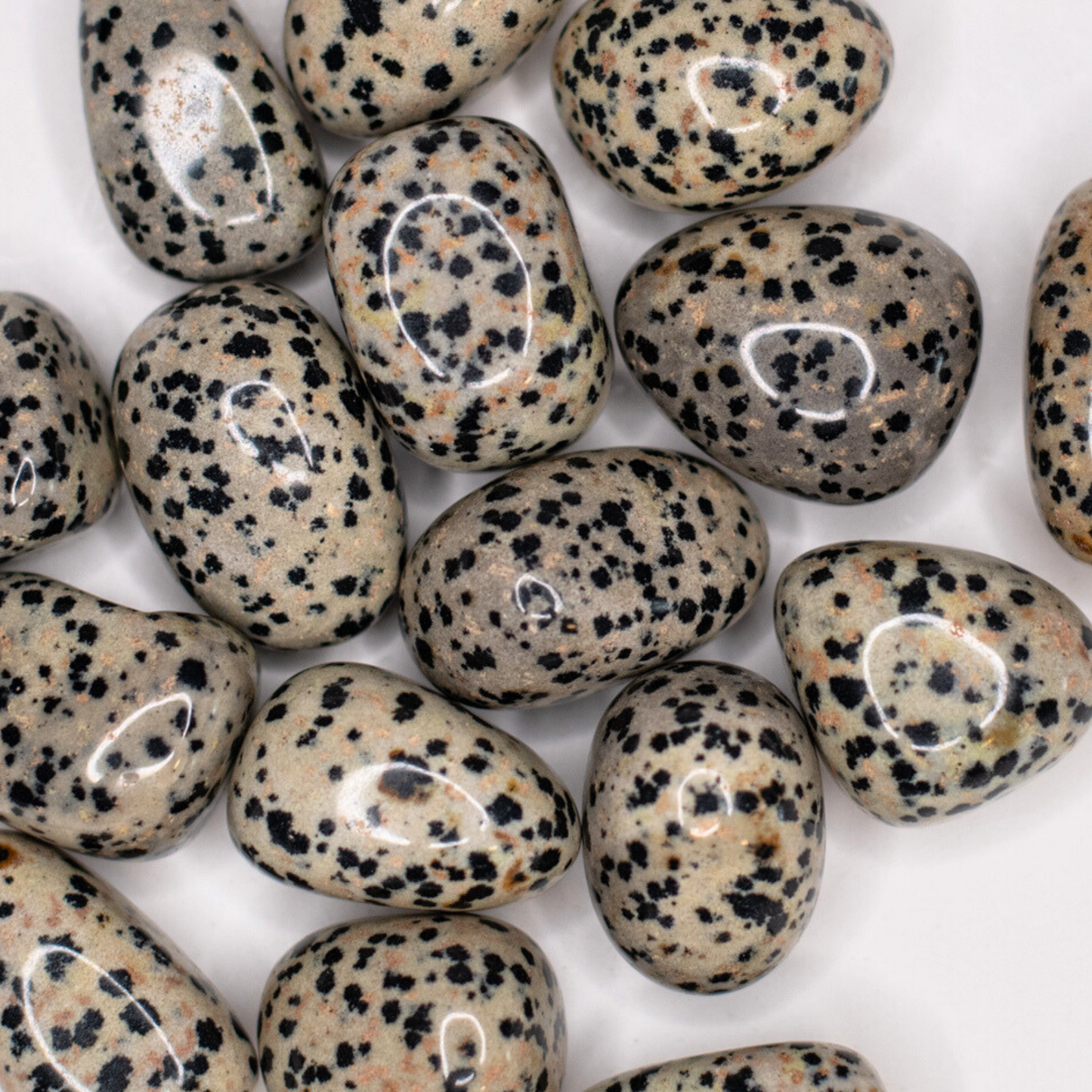 Dalmatian Jasper Tumbled Stone