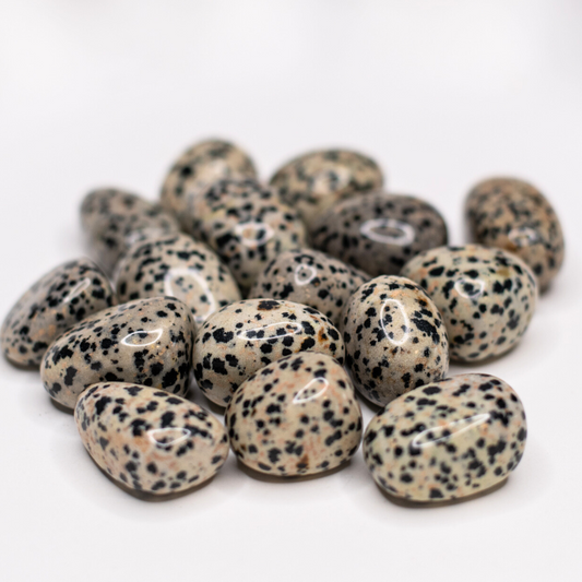 Dalmatian Jasper Tumbled Stone