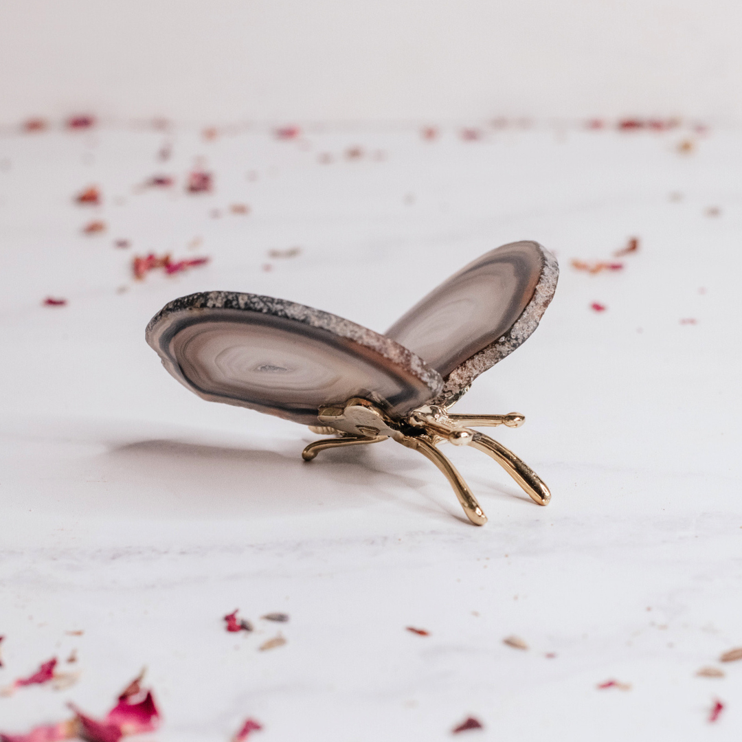 Agate Butterfly with druzy