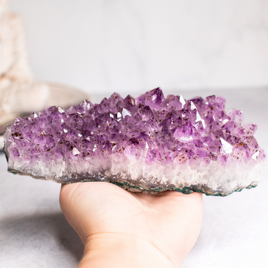 Large Amethyst Cluster 995g