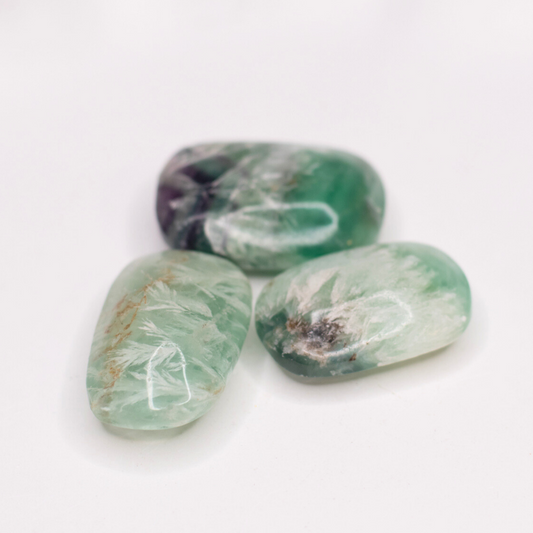 Feather Fluorite (Snowflake) Palm Stones