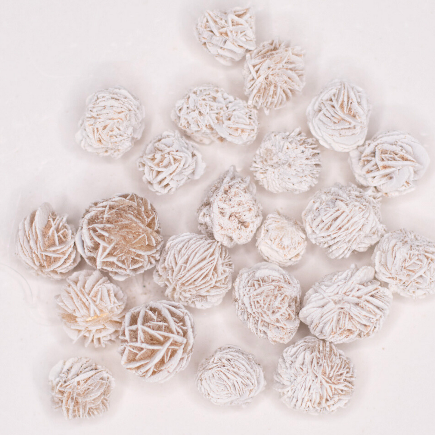 Desert Rose Selenite Cluster