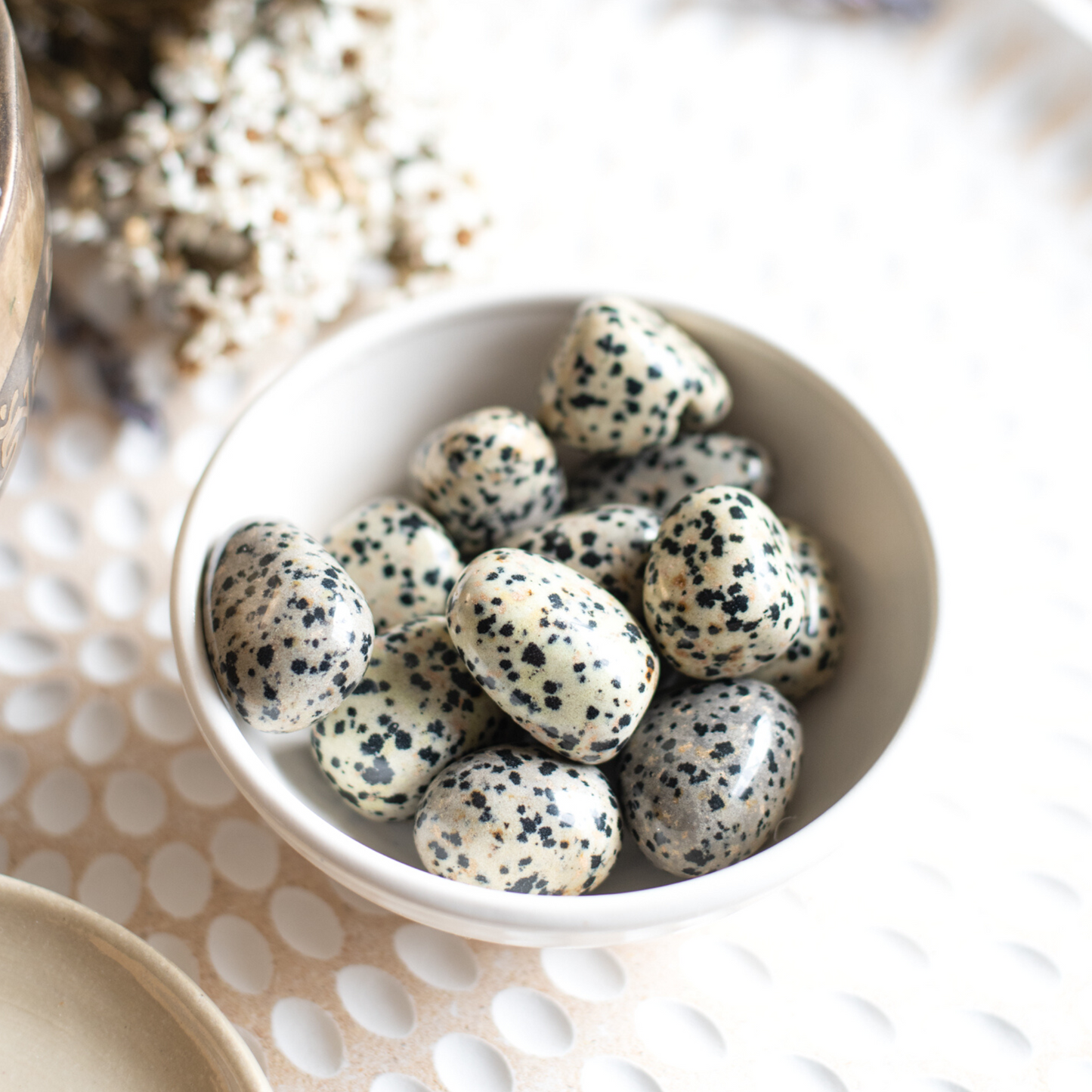 Dalmatian Jasper Tumbled Stone