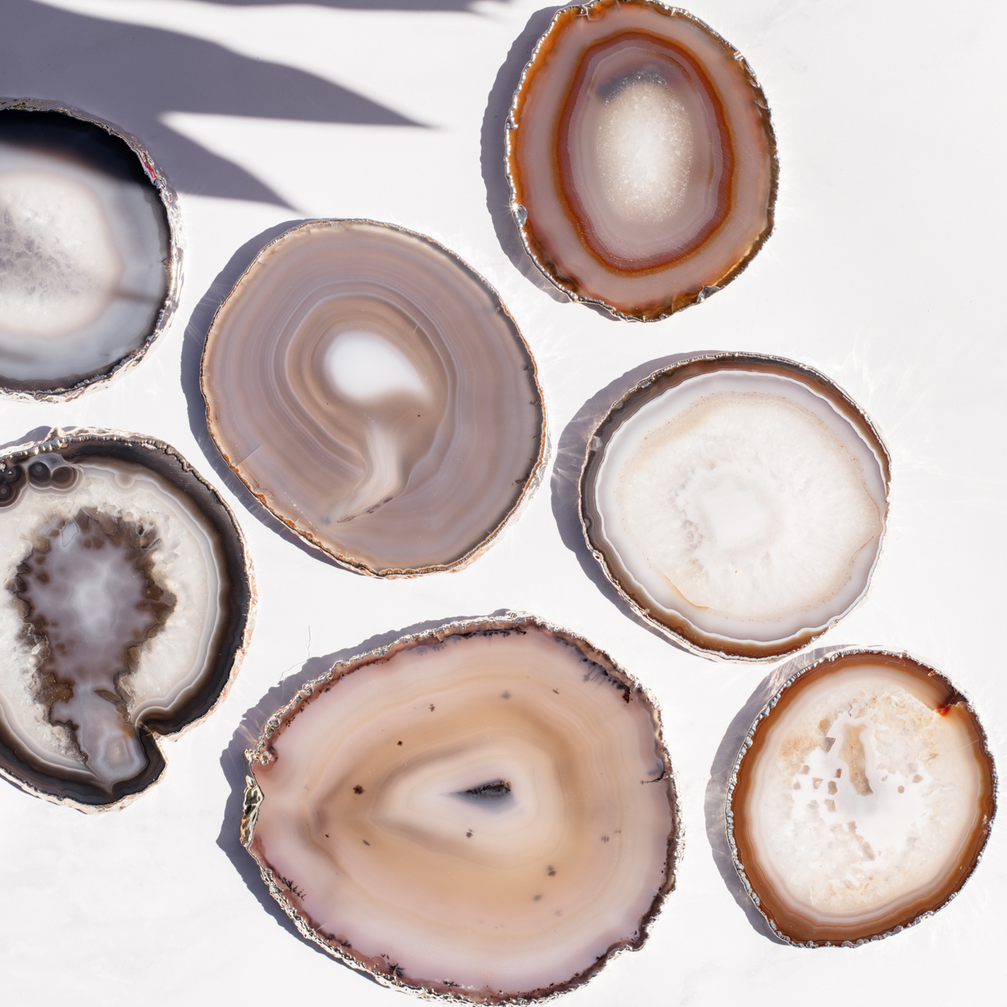 Silver Edge Agate Slices