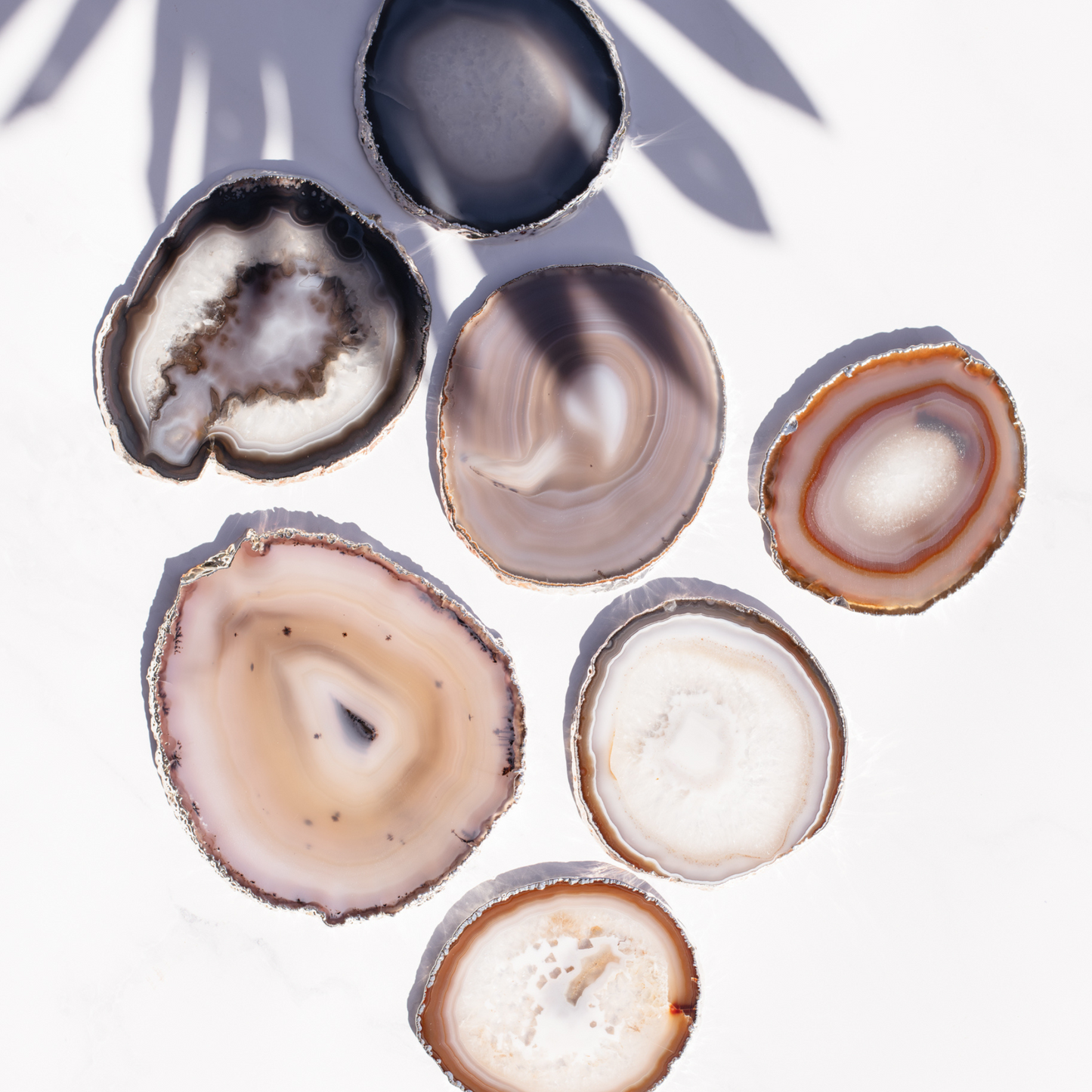 Silver Edge Agate Slices